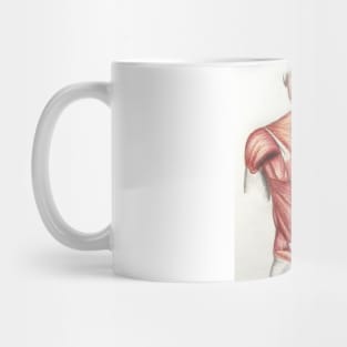 Anatomy. Body building Mug